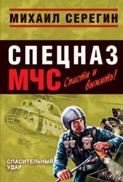 Михаил Серегин Спасительный удар обложка книги