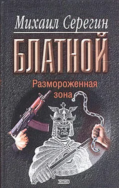 Михаил Серегин Размороженная зона обложка книги