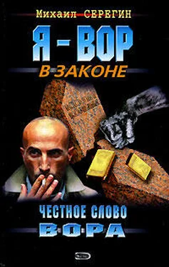 Михаил Серегин Честное слово вора обложка книги