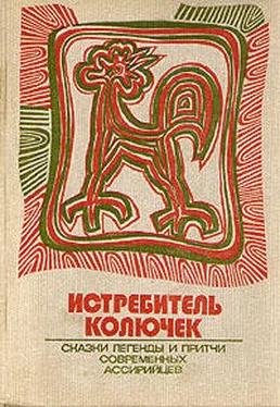 Константин Матвеев (Бар-Маттай) Истребитель колючек. Сказки, легенды и притчи современных ассирийцев обложка книги