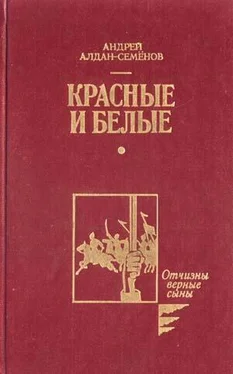 Андрей Алдан-Семенов Бессонница моих странствий обложка книги