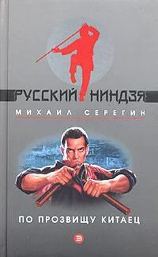 Михаил Серегин Похмельный синдром обложка книги