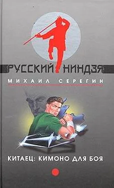 Михаил Серегин Нестандартный подход обложка книги