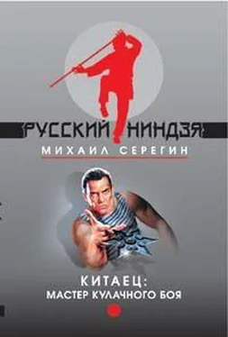Михаил Серегин Мастер кулачного боя обложка книги
