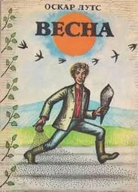 Оскар Лутс Весна обложка книги