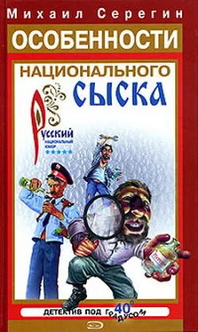 Михаил Серегин Особенности национального сыска обложка книги