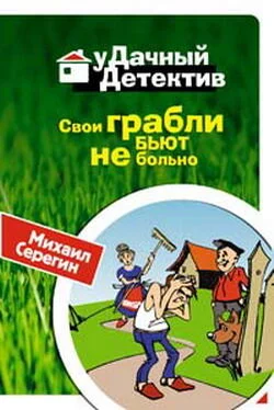 Михаил Серегин Свои грабли бьют не больно обложка книги