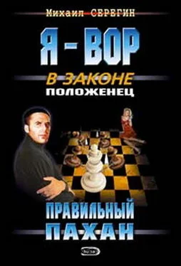 Михаил Серегин Правильный пахан обложка книги