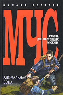 Михаил Серегин Аномальная зона обложка книги