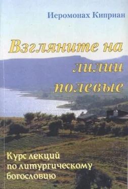 Киприан Керн «Взгляните на лилии полевые…» Курс лекций по литургическому богословию