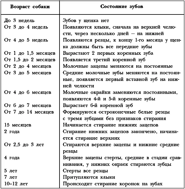 У немецкой овчарки допущенной к племенному разведению должен быть полный - фото 27