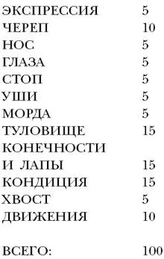 Л. Волкова Пекинес. День за днем. обложка книги