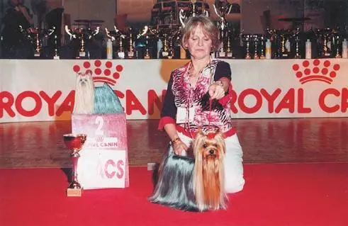 DURRERS STRUT YOUR STUFF кобель Интерчемпион Чемпион Канады Чемпион - фото 32