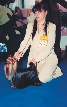 ЭЛЬМ ДЕНДИ ГРАСС БЕЛЛЬ МАСТ Победитель промежуточного класса на выставке НКП - фото 36