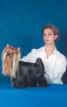 Белка с хэндлером Ларисой ИВАНОВОЙ Екатерина ПолянскаяКобзон со своими - фото 37