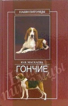 Юлия Маскаева Гончие обложка книги