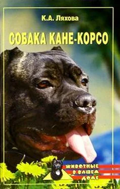 Кристина Ляхова Собака Кане-Корсо обложка книги