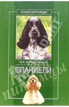 Марина Куропаткина Спаниели обложка книги