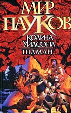 Норман Сеймон Шаман обложка книги