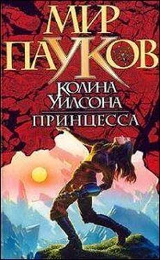 Норман Сеймон Принцесса обложка книги