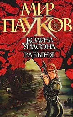 Норман Сеймон Рабыня обложка книги