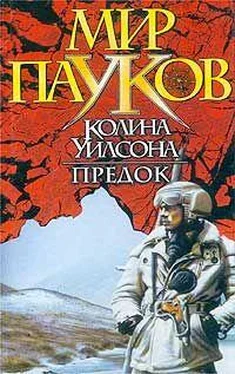 Норман Сеймон Предок обложка книги