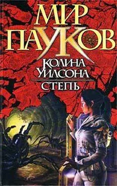 Норман Сеймон Степь обложка книги