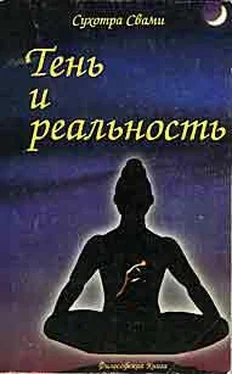 Сухотра Свами Тень и реальность обложка книги