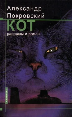 Александр Покровский Кот обложка книги