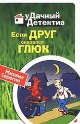 Михаил Серегин - Если друг оказался глюк