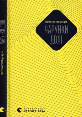 Вахтанґ Кебуладзе Чарунки долі обложка книги