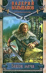 Валерий Большаков - Закон меча