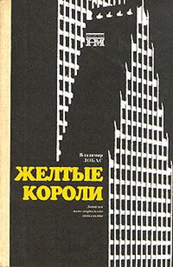 Владимир Лобас Жёлтые короли. Записки нью-йоркского таксиста обложка книги