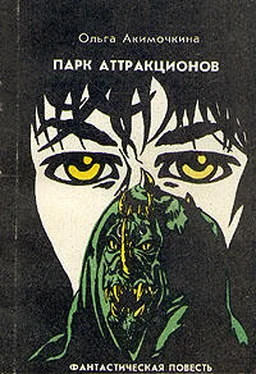 Ольга Акимочкина Парк аттракционов обложка книги