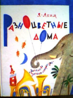 Яков Аким Разноцветные дома обложка книги