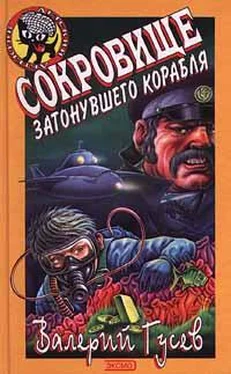 Валерий Гусев Сокровища затонувшего корабля обложка книги