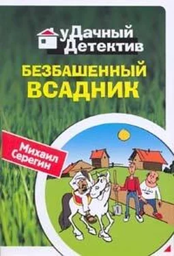 Михаил Серегин Безбашенный всадник обложка книги