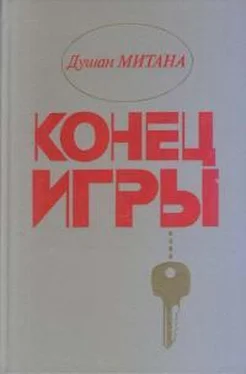 Душан Митана Конец игры обложка книги