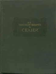 Михаил Салтыков-Щедрин - СКАЗКИ