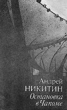 Андрей Никитин Остановка в Чапоме обложка книги