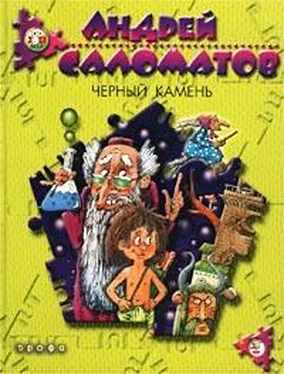 Андрей Саломатов Черный камень обложка книги