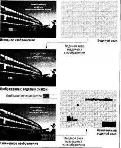 Эти изображения предоставленные доктором Минервой Янг Minerva M Yeung из - фото 23