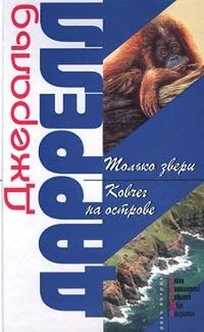 Джеральд Даррелл Ковчег на острове обложка книги