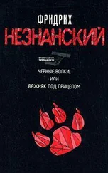 Фридрих Незнанский - Черные волки, или Важняк под прицелом