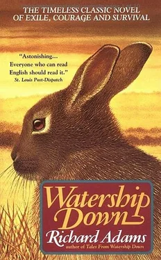 Richard Adams Watership Down обложка книги