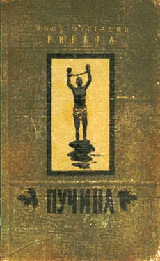 Хосе Ривера Пучина обложка книги