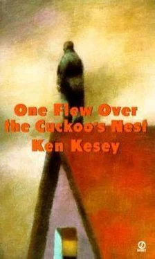 Ken Kesey One flew over cuckoo's nest обложка книги