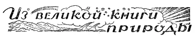 ИЗ ВЕЛИКОЙ КНИГИ ПРИРОДЫ МОИ СКВОРЦЫ Иметь скворца было моим давним - фото 47