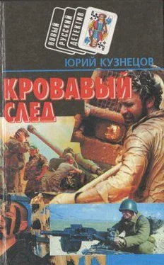 Юрий Кузнецов Холодная сталь обложка книги