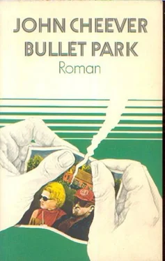 John Cheever Bullet Park обложка книги